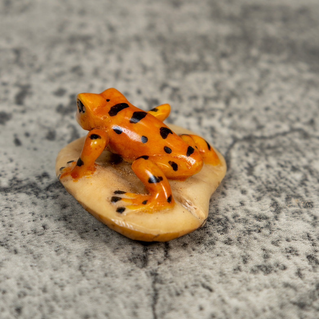 Vintage Orange And Black Frog Tagua Carving