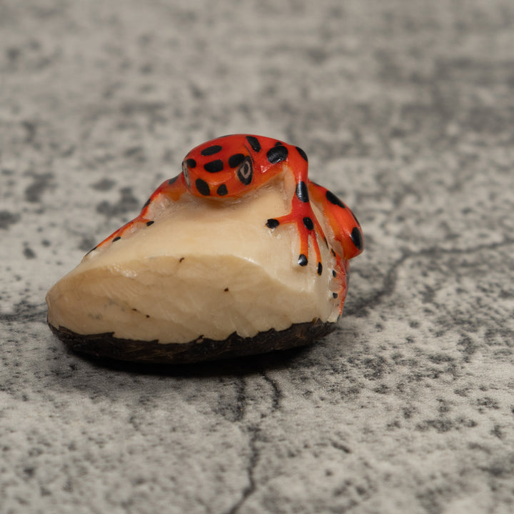 Vintage Frog Tagua Carving