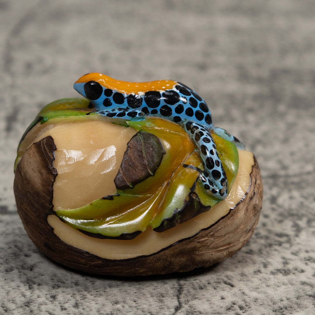 Gold Blue And Black Jungle Frog Tagua Carving