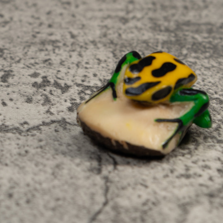 Vintage Black Green And Yellow Frog Tagua Carving