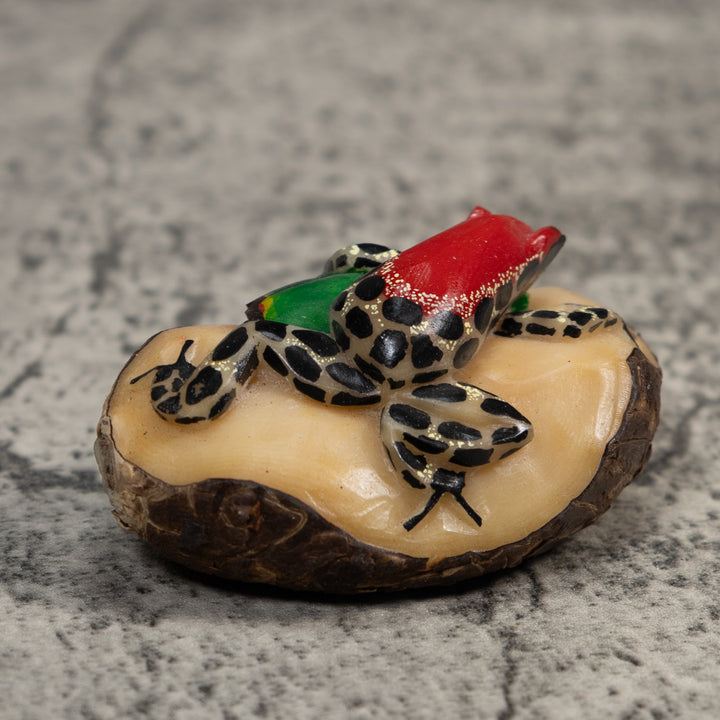 White Red And Black Poison Dart Frog Tagua Carving