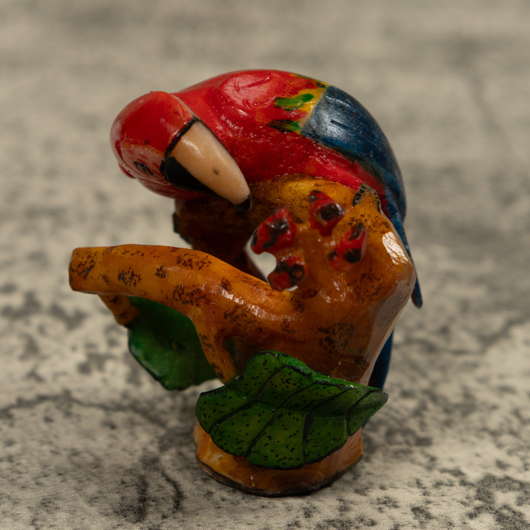 Macaw Parrot Bird Tagua Carving