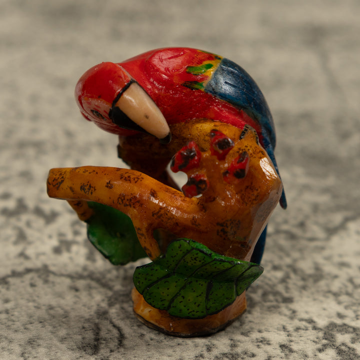 Macaw Parrot Bird Tagua Carving