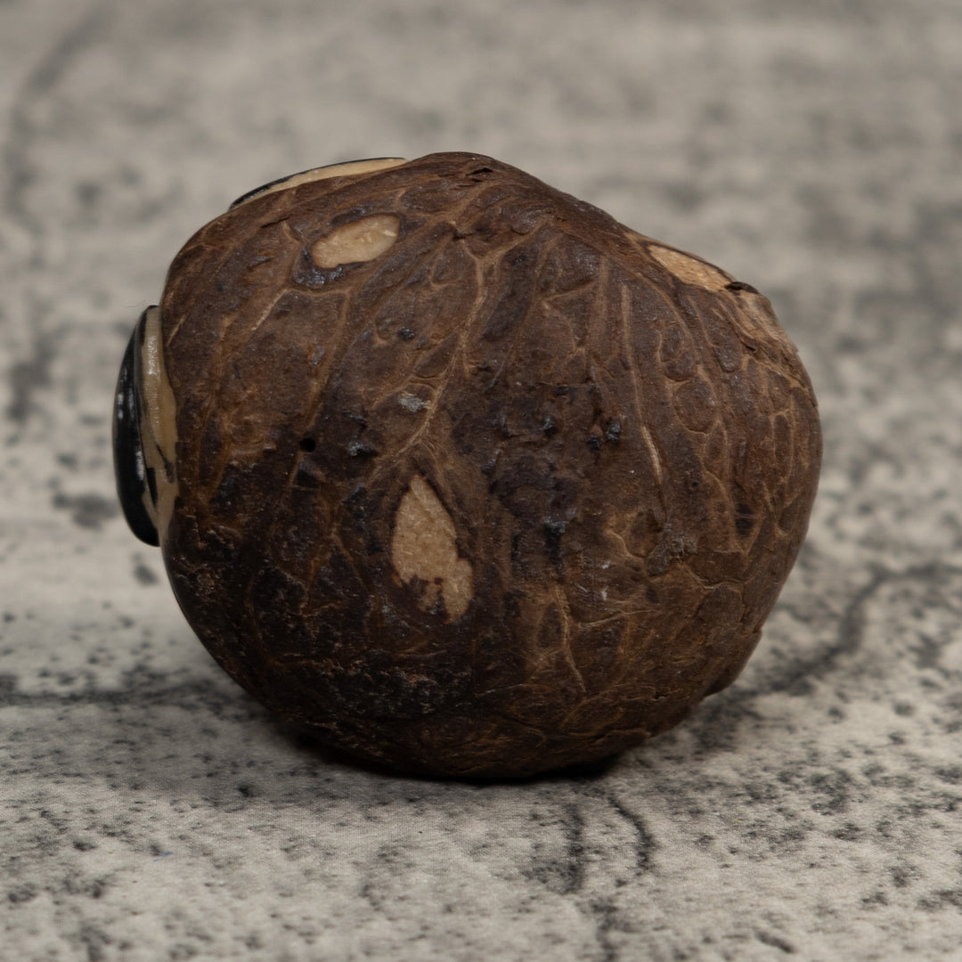 Yellow And Black Poison Dart Frog Tagua Carving