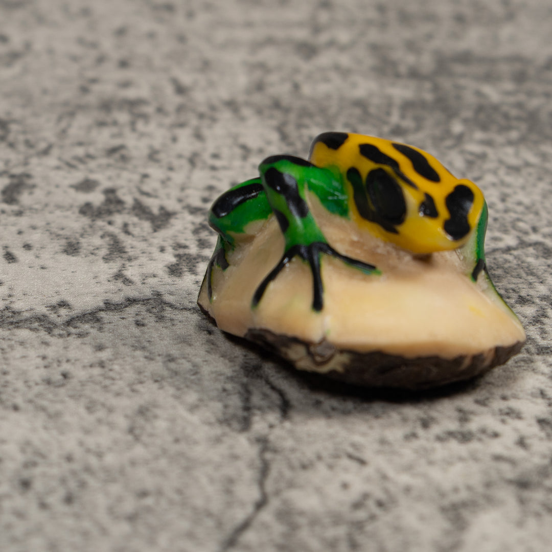 Vintage Black Green And Yellow Frog Tagua Carving