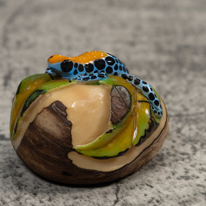 Gold Blue And Black Jungle Frog Tagua Carving