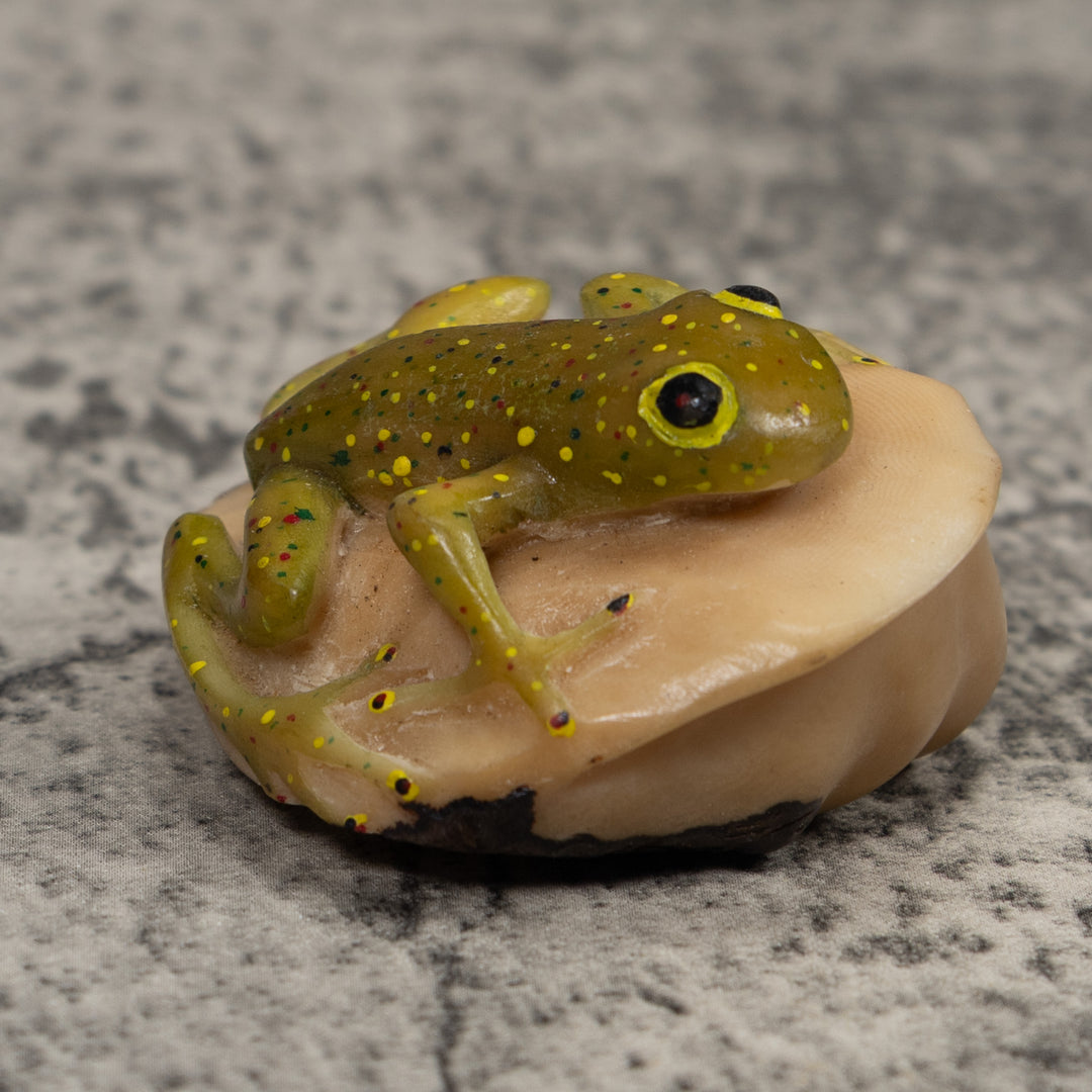 Vintage Yellow And Green Frog Tagua Carving