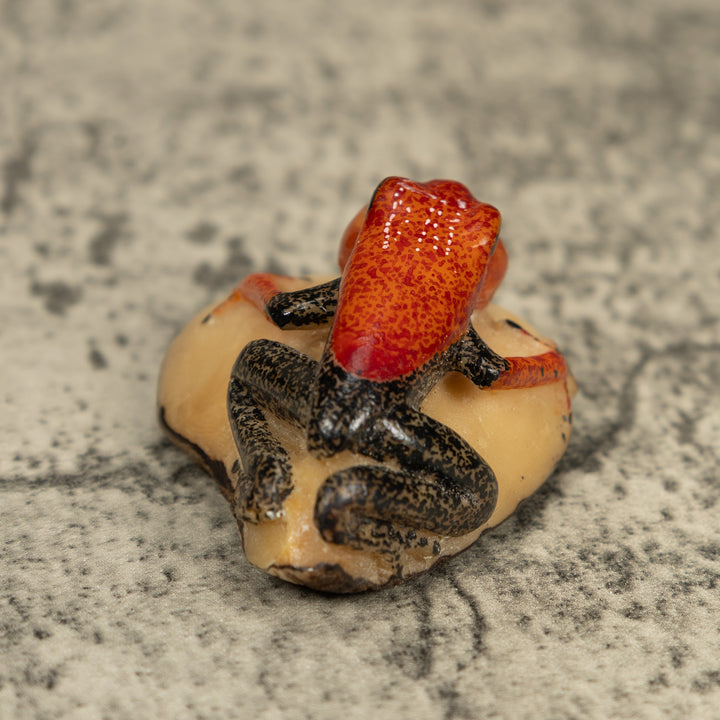 Black And Orange Blow Throat Frog Tagua Carving