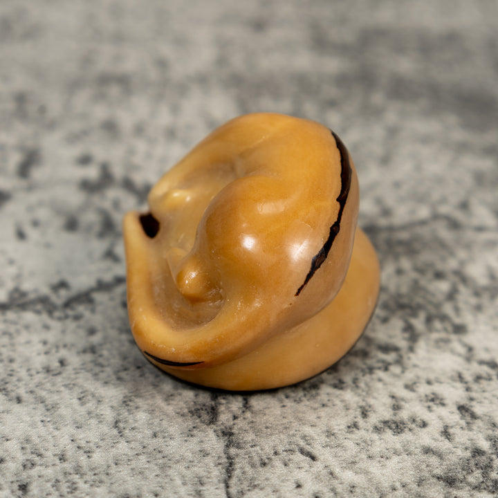 Vintage Natural White Dyed Anteater Tagua Carving