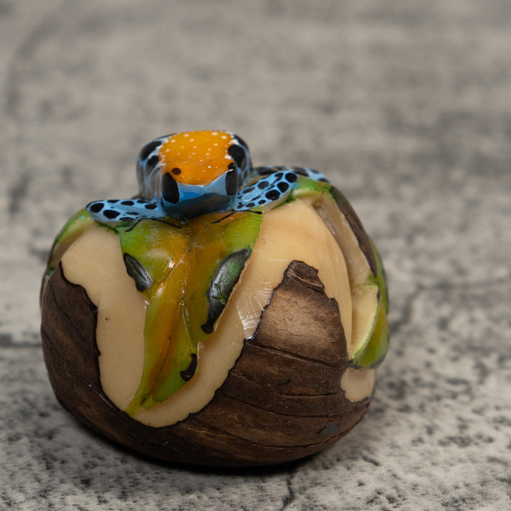Gold Blue And Black Jungle Frog Tagua Carving