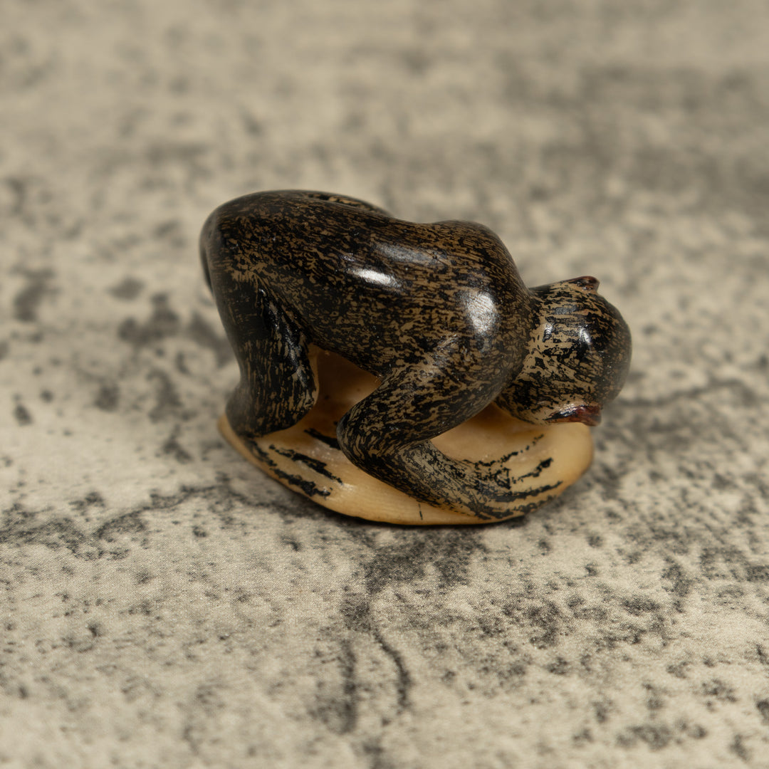 Vintage Howler Monkey Tagua Carving
