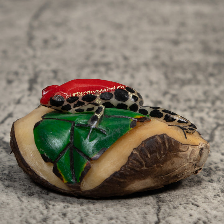 White Red And Black Poison Dart Frog Tagua Carving