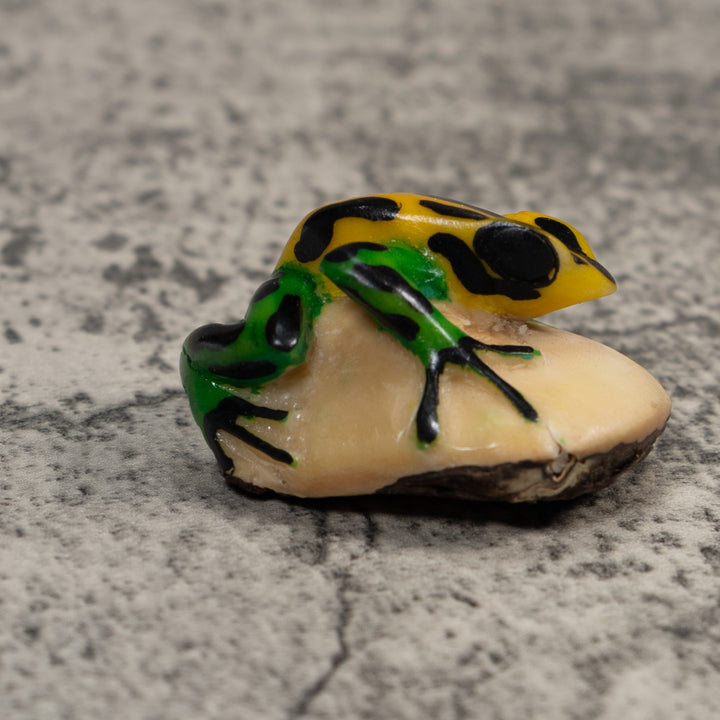 Vintage Black Green And Yellow Frog Tagua Carving