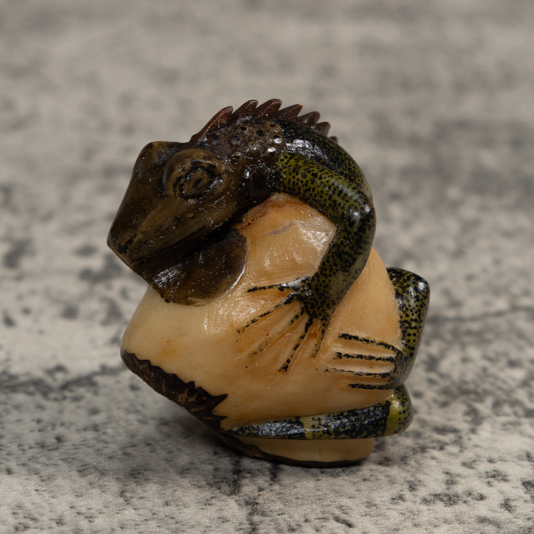 Brown And Black Iguana Lizard Tagua Carving