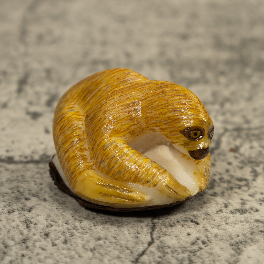 Brown Sloth Tagua Carving