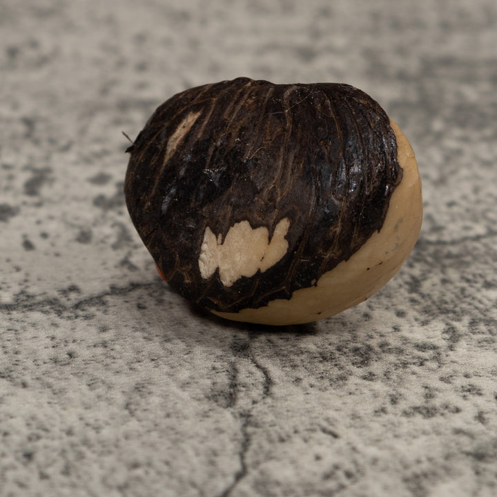 Vintage Frog Tagua Carving