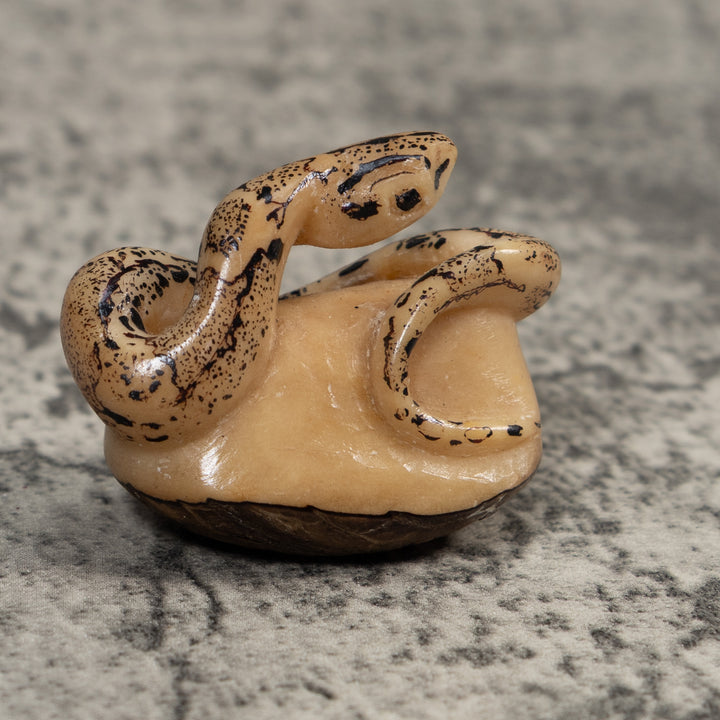 Black And White Snake Boa Tagua Carving