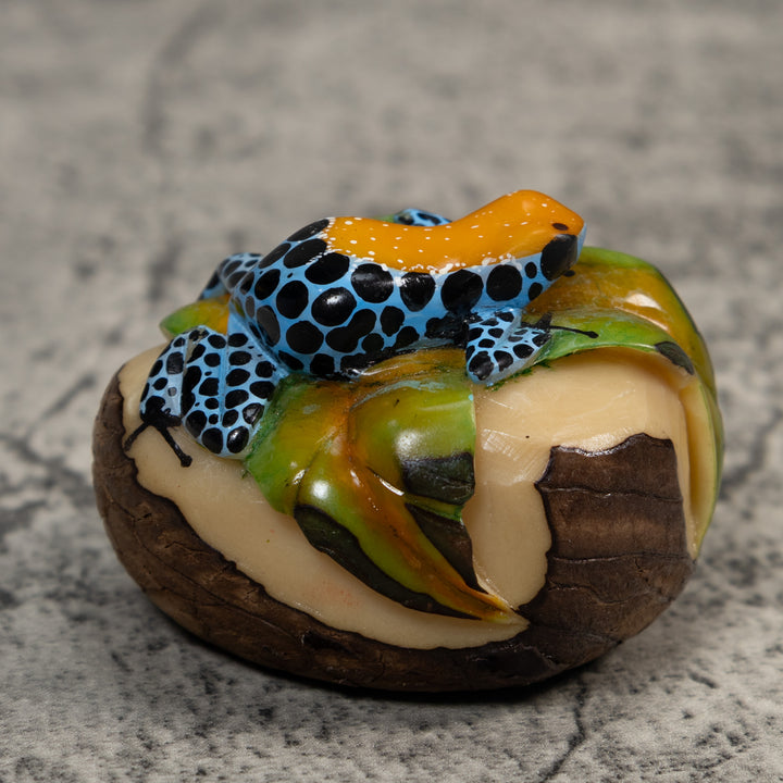 Gold Blue And Black Jungle Frog Tagua Carving