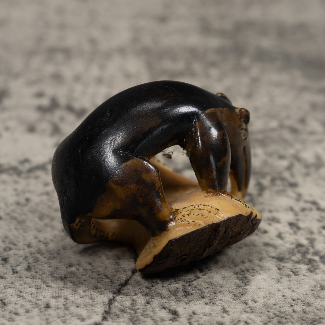 Vintage Brown Anteater Tagua Carving