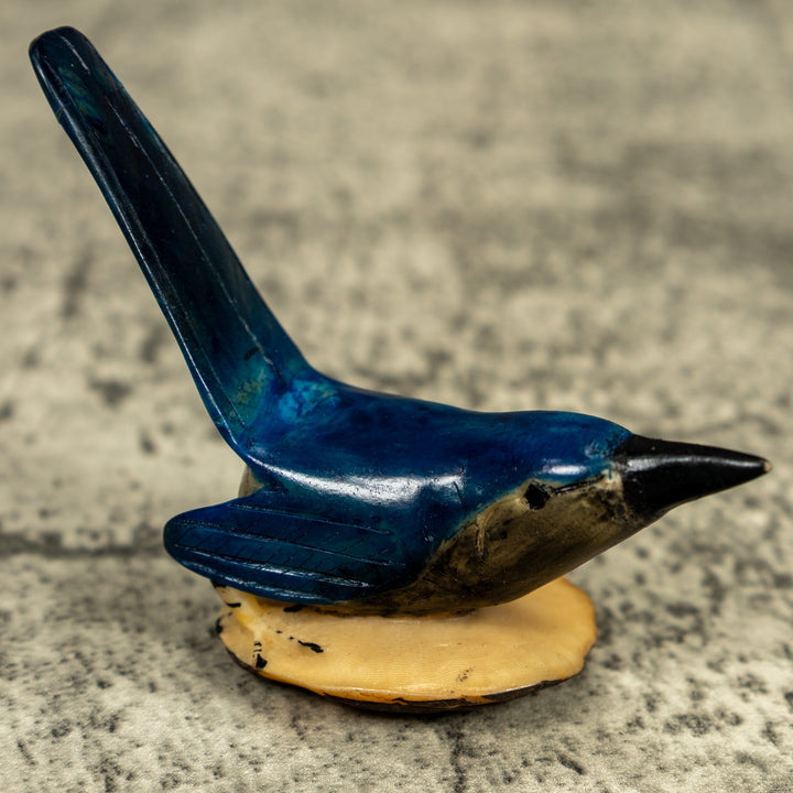 Vintage Seed Eater Blue Bird Tagua Carving