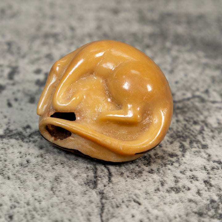 Vintage Natural White Dyed Anteater Tagua Carving