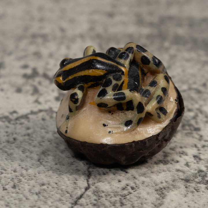 Gold And Black Poison Dart Frog Tagua Carving