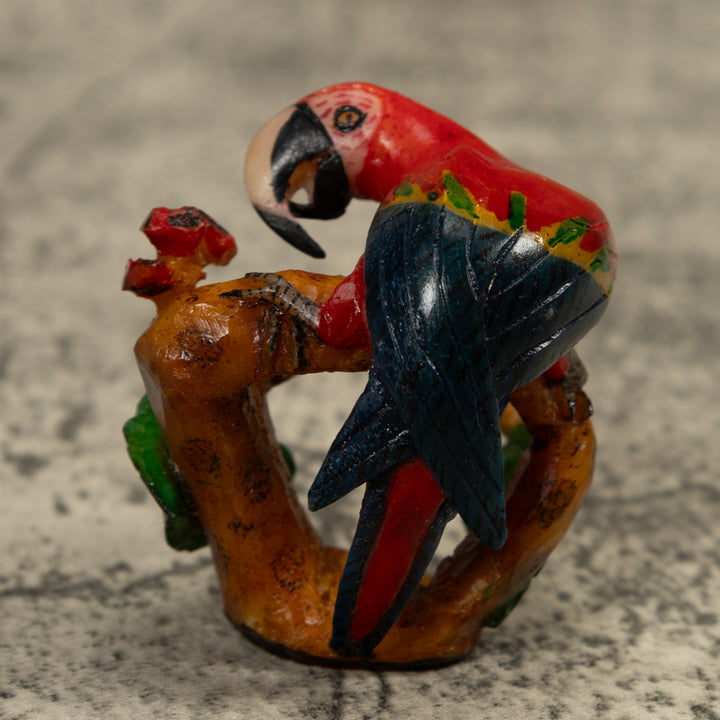 Macaw Parrot Bird Tagua Carving