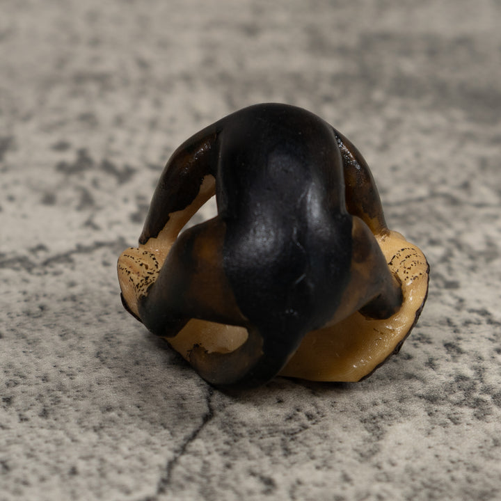 Vintage Brown Anteater Tagua Carving