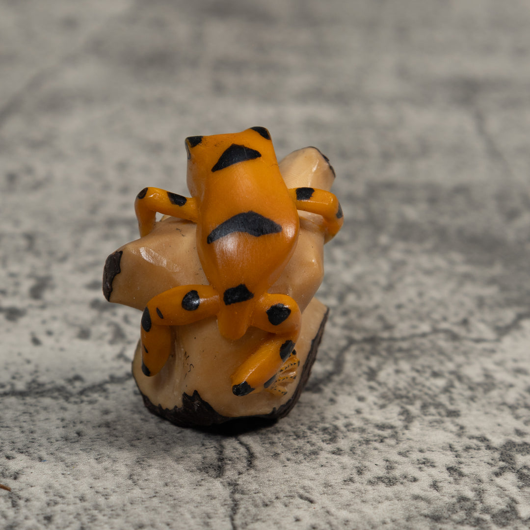 Gold And Black Poison Dart Frog Tagua Carving