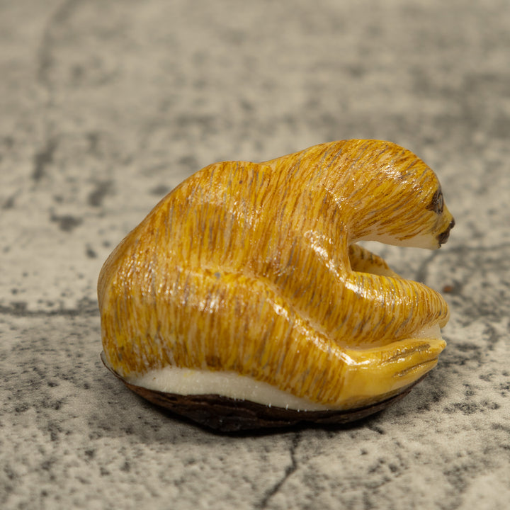 Brown Sloth Tagua Carving
