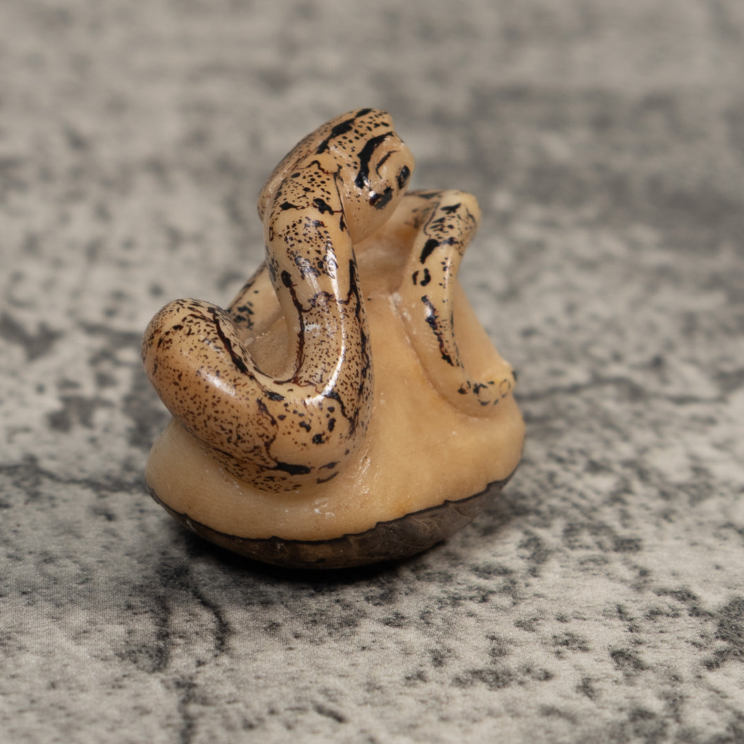 Black And White Snake Boa Tagua Carving