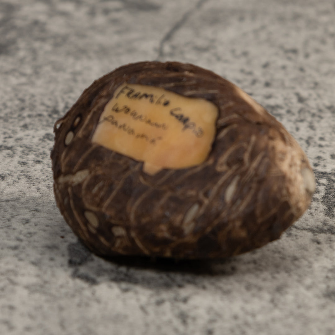 White Red And Black Poison Dart Frog Tagua Carving