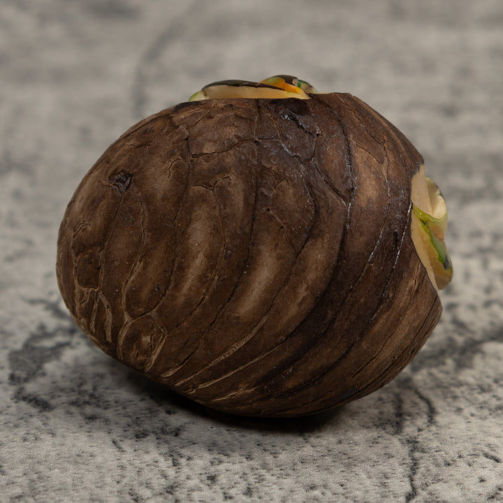 Gold Blue And Black Jungle Frog Tagua Carving