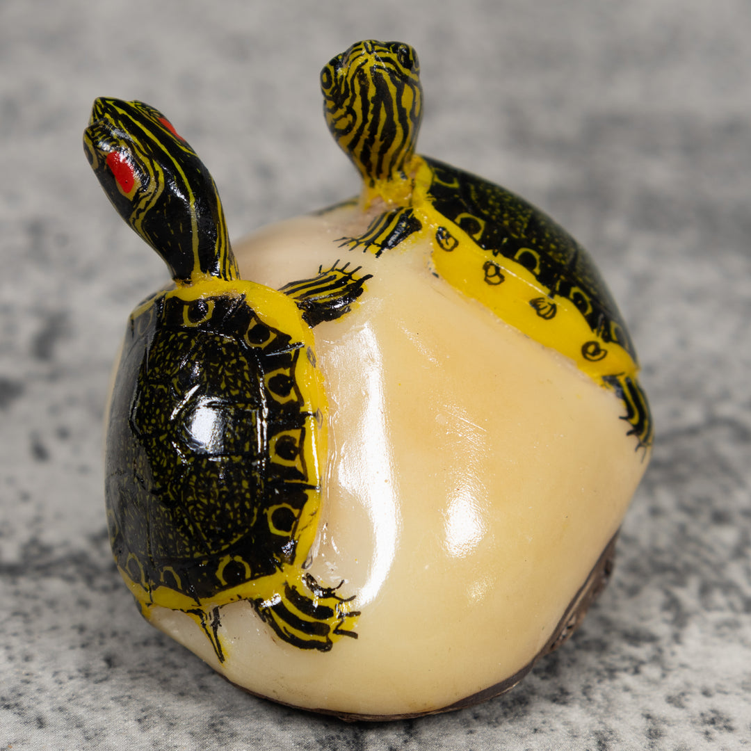 Double (2) Tortoise Turtle Tagua Carving
