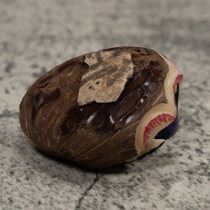 Hummingbird Tagua Carving