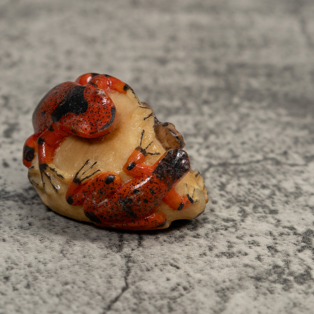 Double Red And Black Poison Dart Frog Tagua Carving
