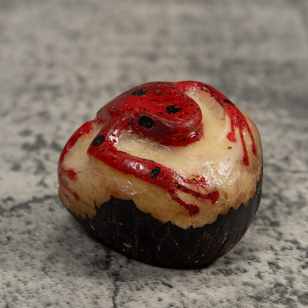 Vintage Red Poison Dart Frog Tagua Carving