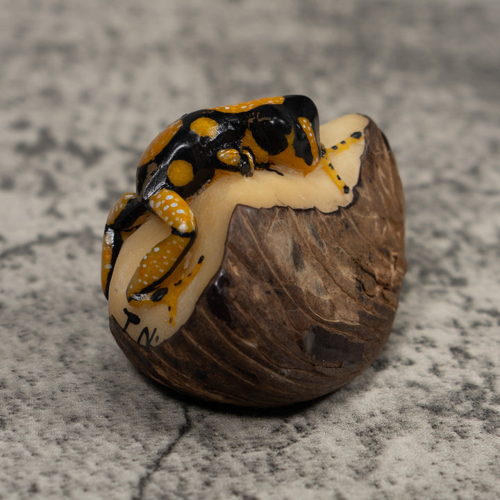 Gold White And Black Frog Tagua Carving