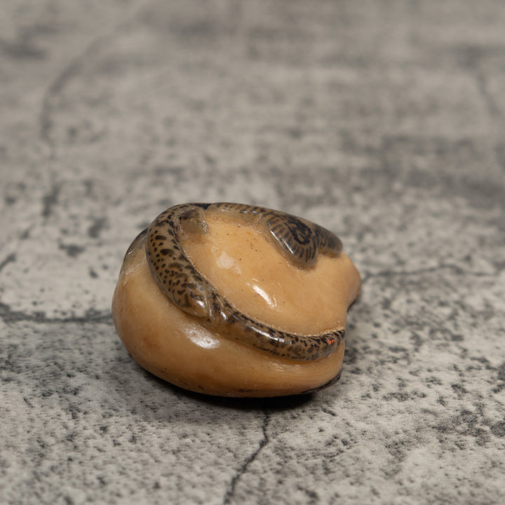 Vintage Stingray Fish Tagua Carving