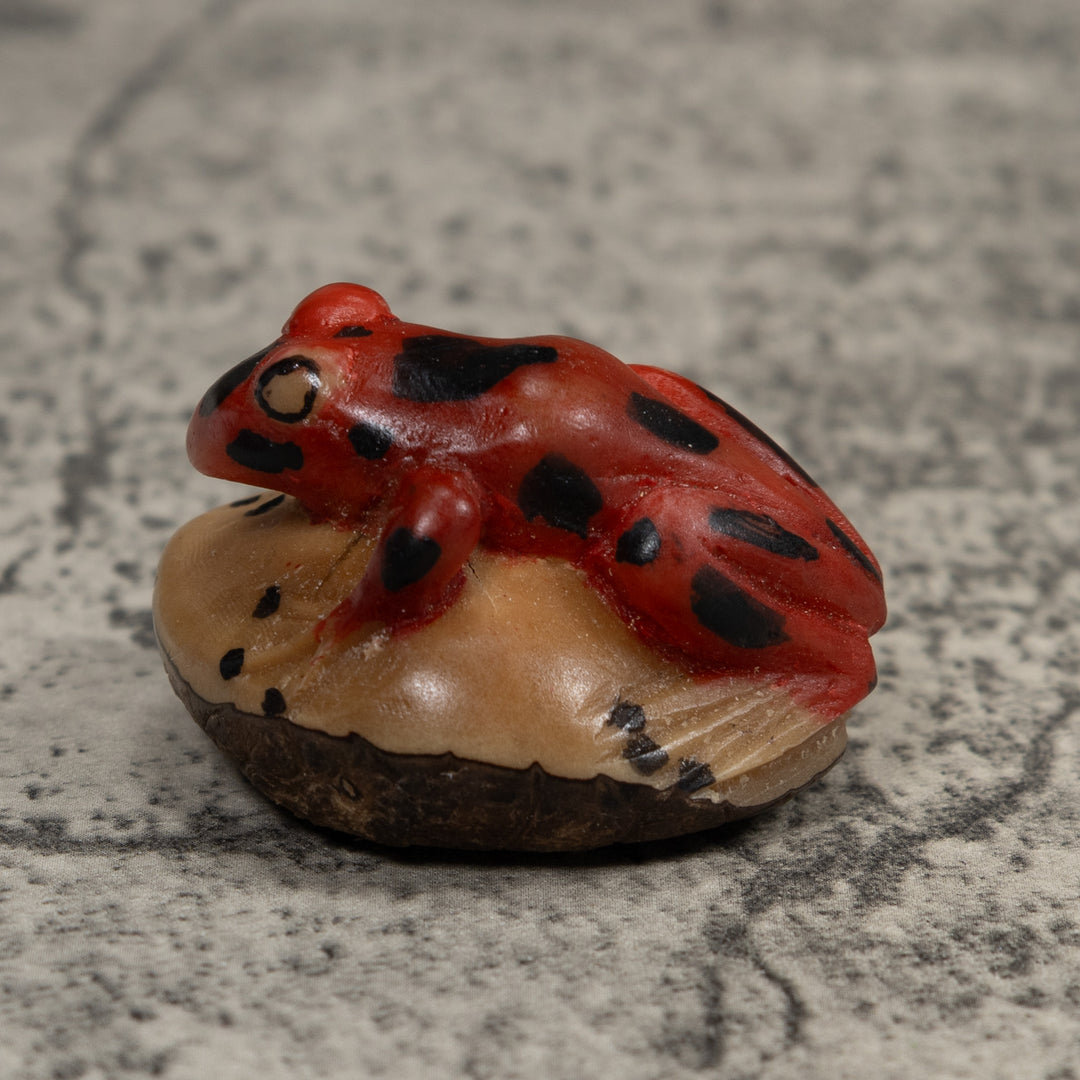 Vintage Red And Black Frog Tagua Carving