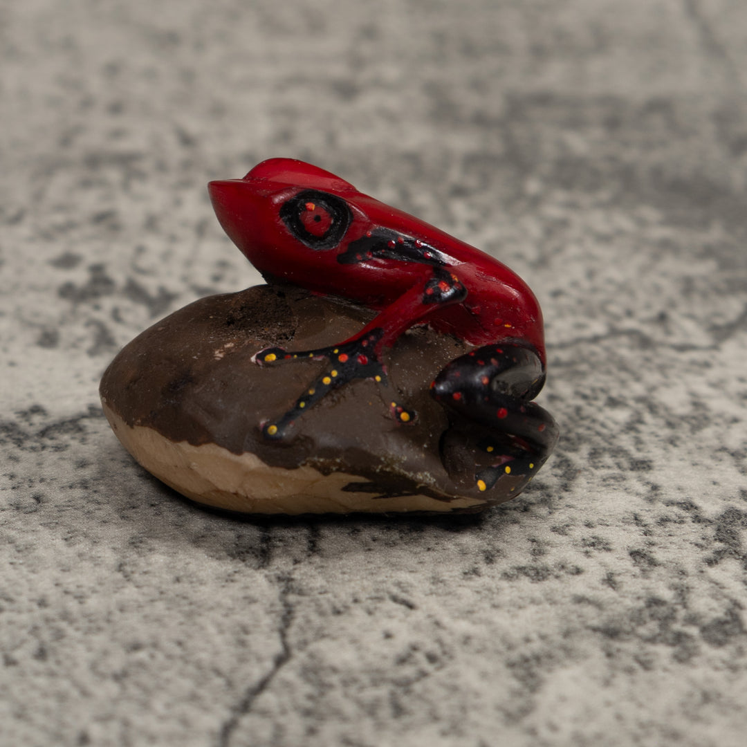 Poison Dart Frog Tagua Carving