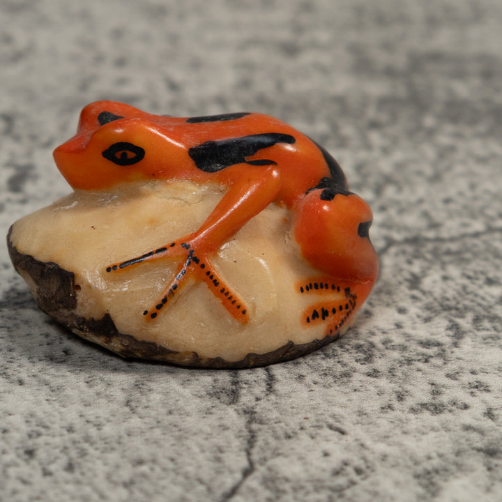 Orange And Black Poison Dart Frog Tagua Carving
