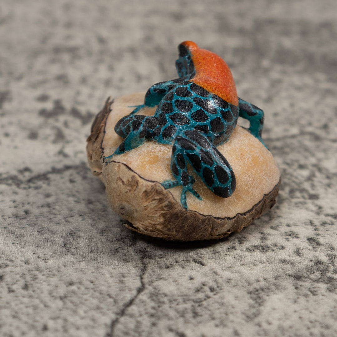 Blue And Orange Poison Dart Frog Tagua Carving