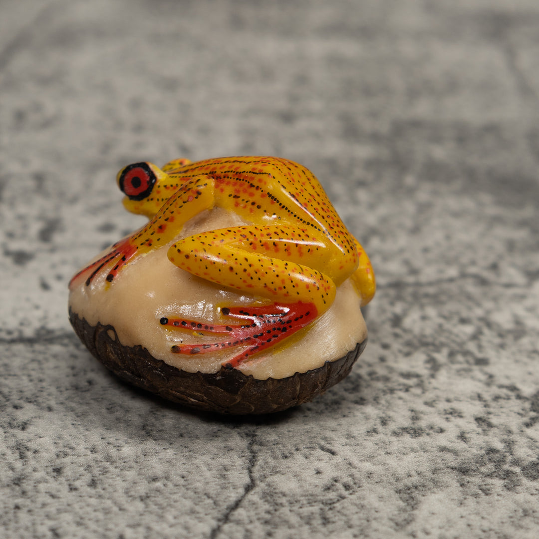 Vintage Gold Red And Black Frog Tagua Carving