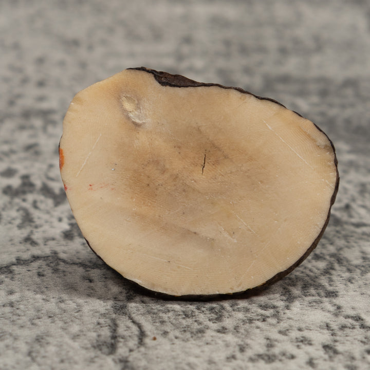 Vintage Poison Dart Frog Tagua Carving