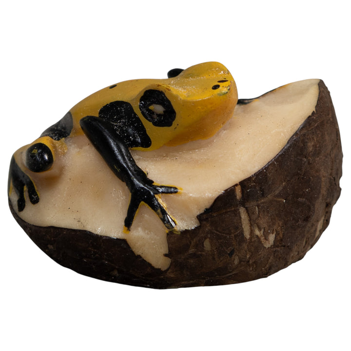 Vintage Black And Yellow Frog Tagua Carving