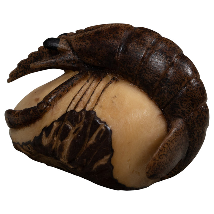 Vintage Shrimp Tagua Carving