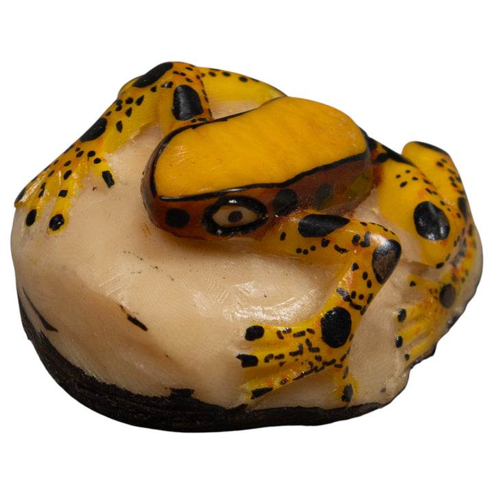 Poison Dart Frog Tagua Carving