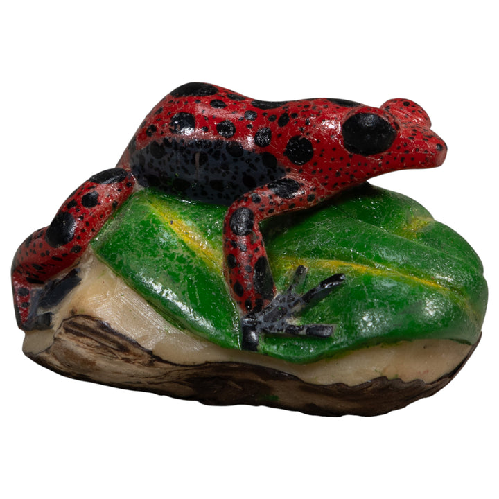 Black And Red Poison Dart Frog Tagua Carving