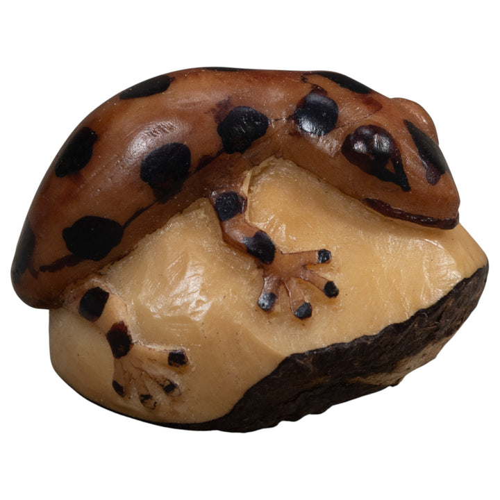 Brown And Black Gecko Lizard Tagua Carving